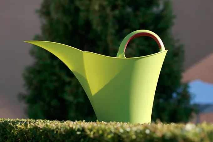 Vert, 5 L